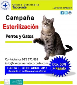 Imagen1
