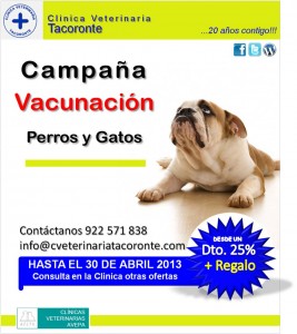 Imagen2