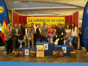 EXPOSICIÓN