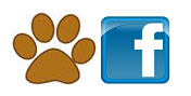 Síguenos en Facebook